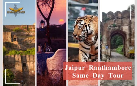 "Beautiful scenery of Ranthambore National Park during a Jaipur Ranthambore tour, showcasing wildlife and historical landmarks."